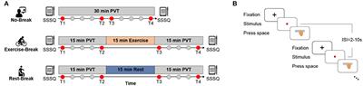 Modulating break types induces divergent low band EEG processes during post-break improvement: A power spectral analysis